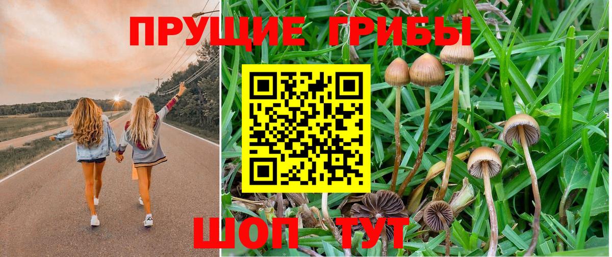 Псилоцибиновые грибы Psilocybe  Псилоцибиновые грибы Magic Shrooms  Вход с VPN  что такое   Слободской 