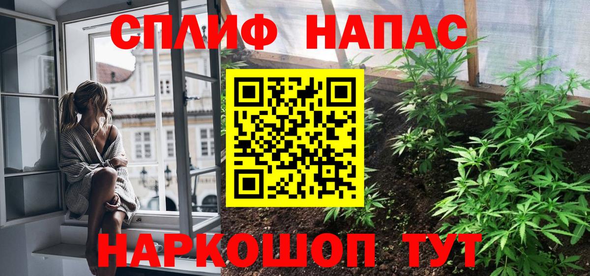 Бошки Шишки ГИДРОПОН Слободской